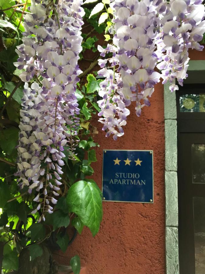 Apartment Lavanda